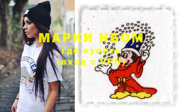 бошки Алексин