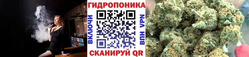 МАРИХУАНА план  наркошоп  Алушта 